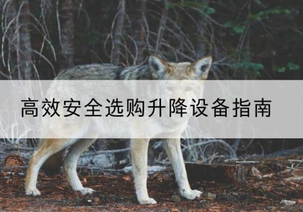 蒲县升降货梯厂家推荐-*安全选购升降设备指南