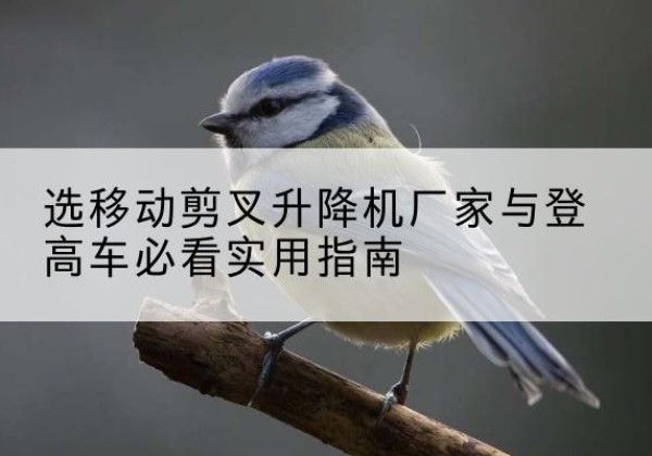 蒲县电动升降机厂家-选移动剪叉升降机厂家与登高车必看实用指南